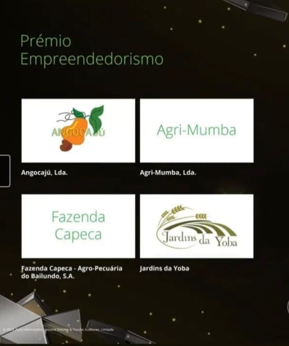 Prémio Empreendedorismo